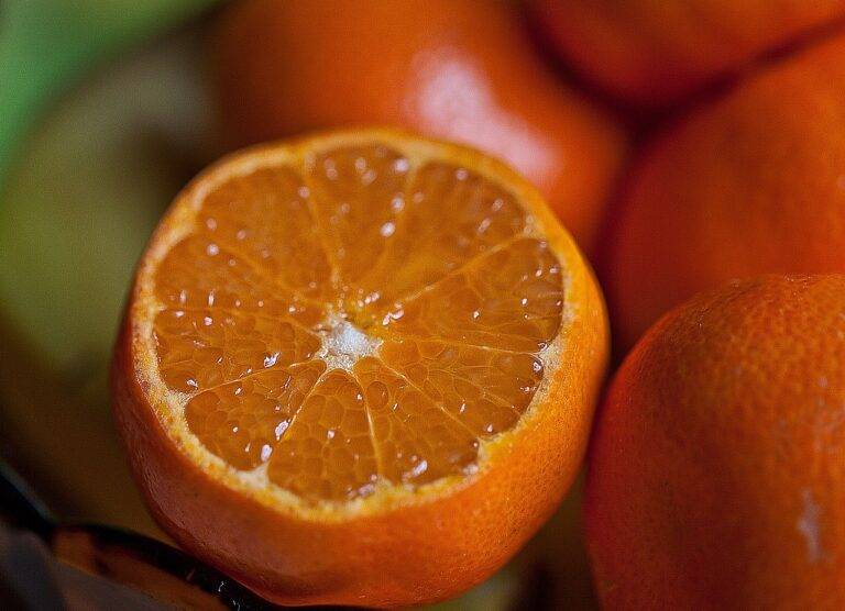 Investigating the Truth Behind Superfoods Hype