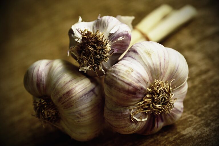 Analyzing the Health Benefits of Fermented Foods for Gut Health