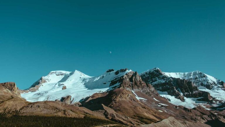 How To Register On Cricbet99 Win Official Page?